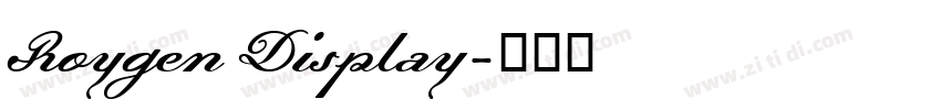 Roygen Display字体转换